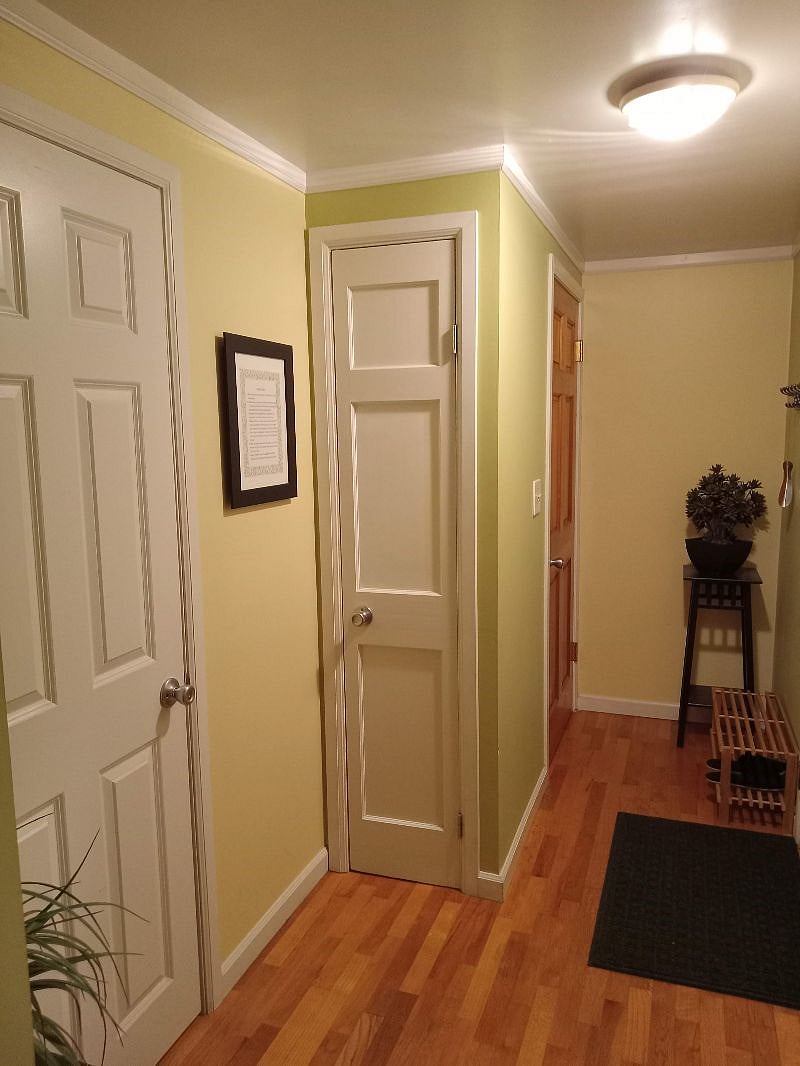 Coat closet, entry and hallway.