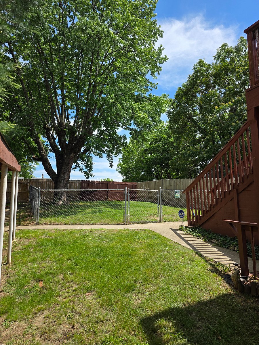 Shared fenced area for the four legged family members.