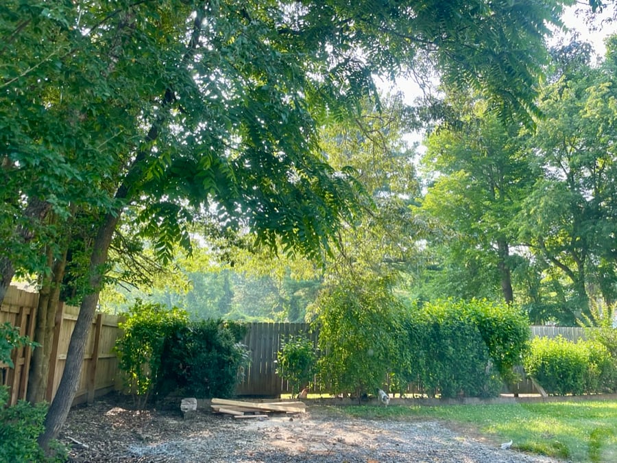 Private backyard with patio and entirely fenced in for you and your dog.