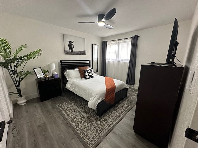 Furnished Finder property 477801_1 photo 12