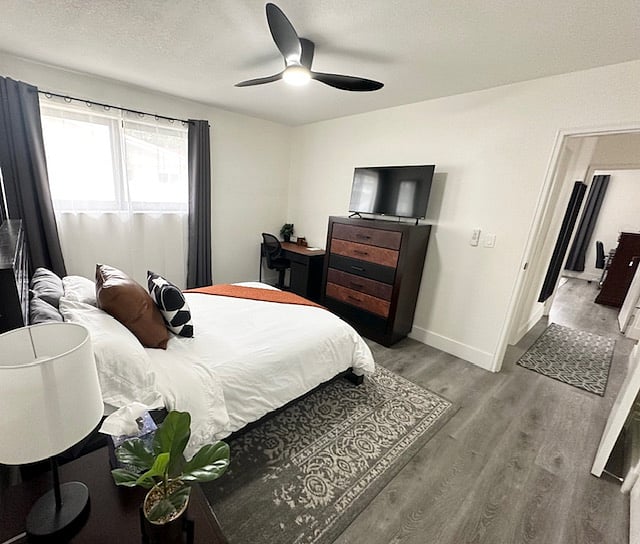 Furnished Finder property 477801_1 photo 13