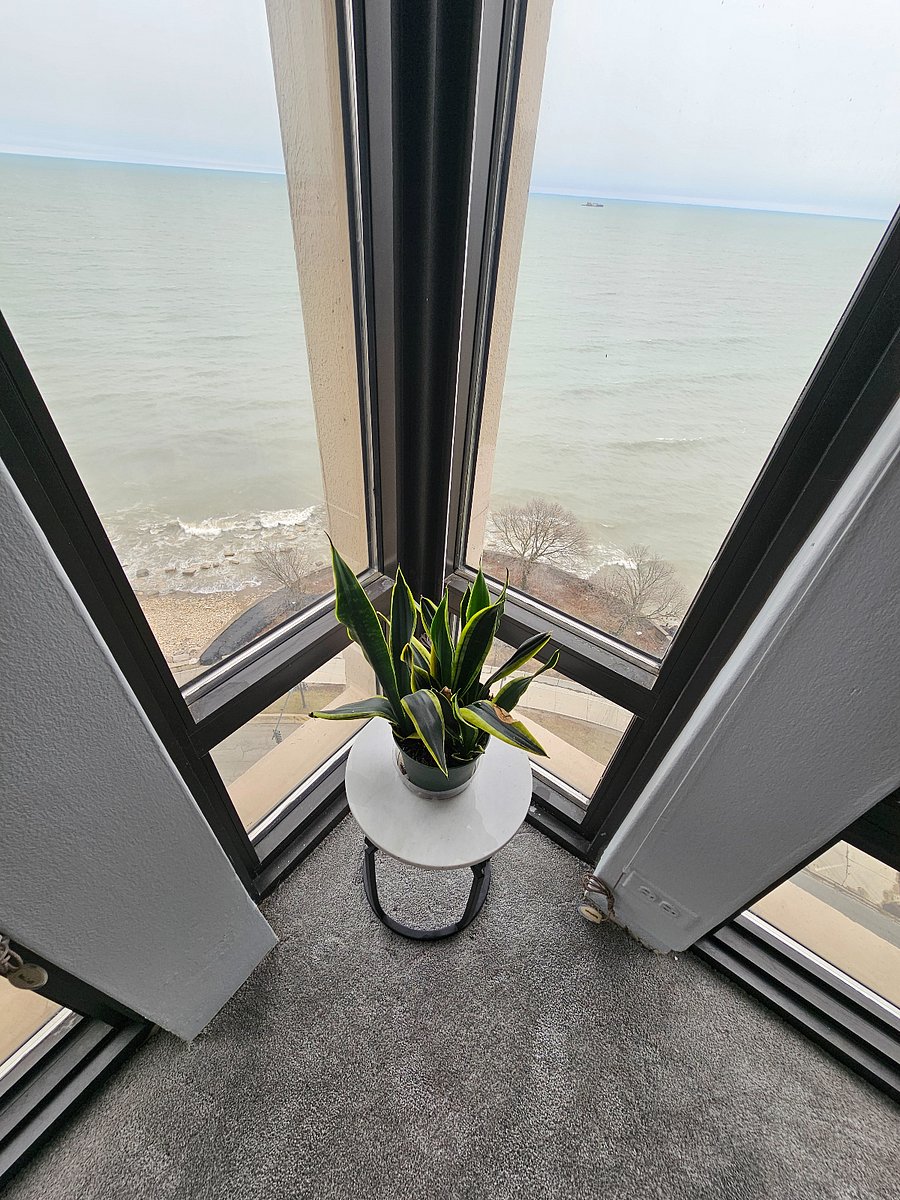 Furnished Finder property 477881_1 photo 13