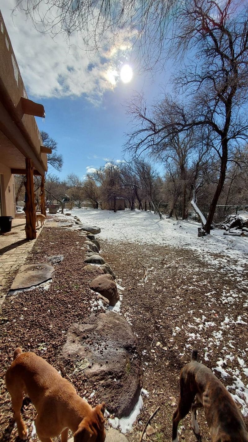 Furnished Finder property 477960_1 photo 4