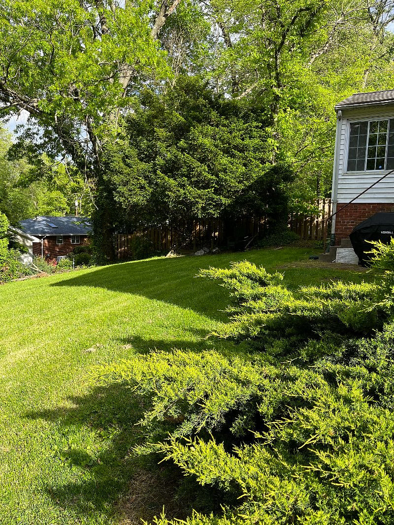 Furnished Finder property 477968_1 photo 9