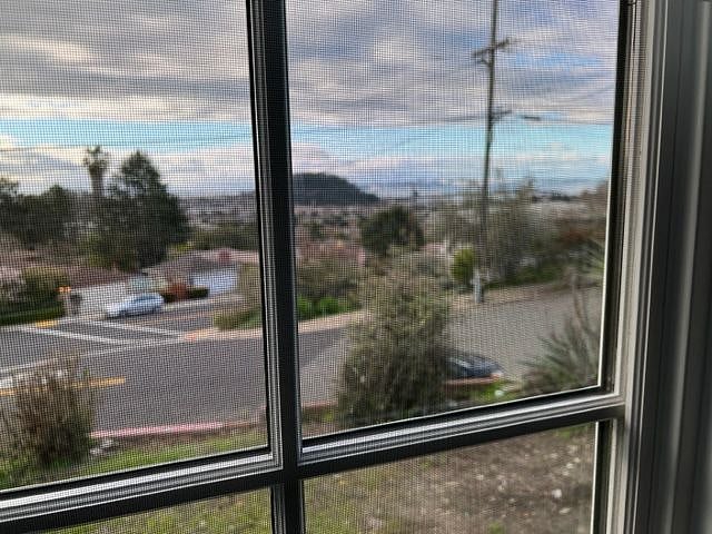View from Kitchen Window