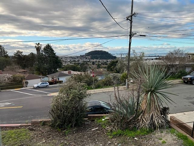View from Living Room Window