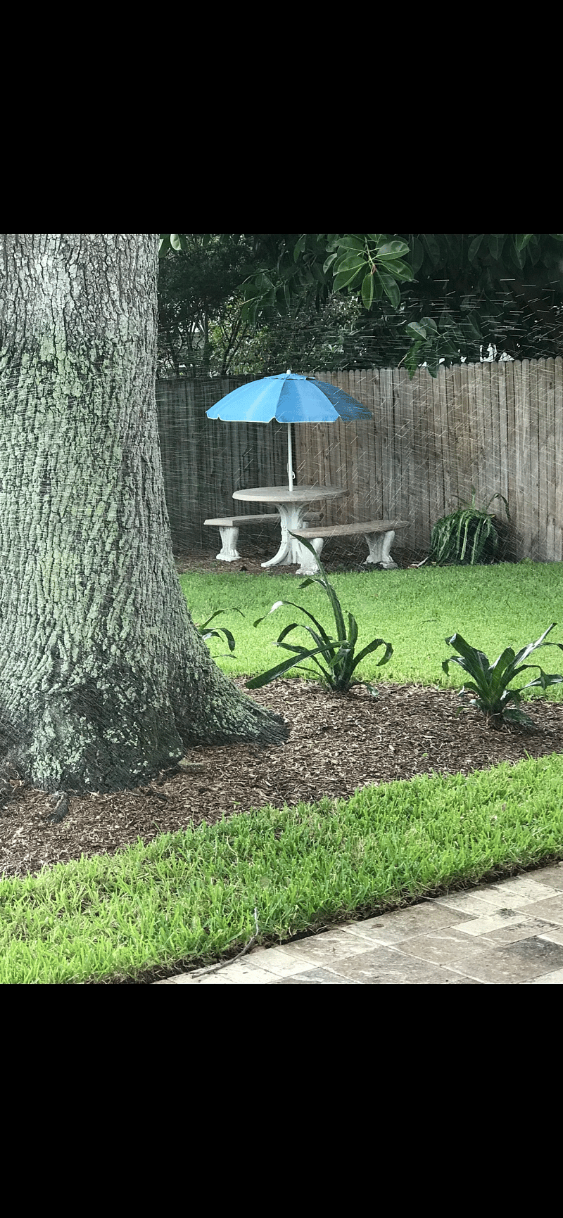 Furnished Finder property 478368_1 photo 14