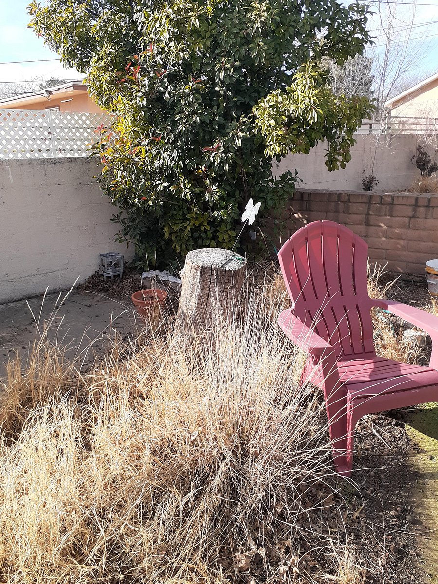 Furnished Finder property 478668_1 photo 5