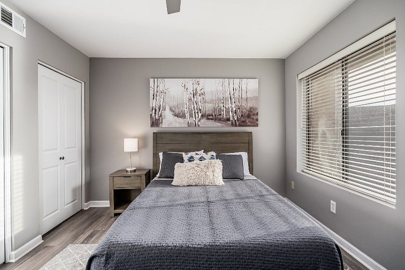 Furnished Finder property 478691_1 photo 29