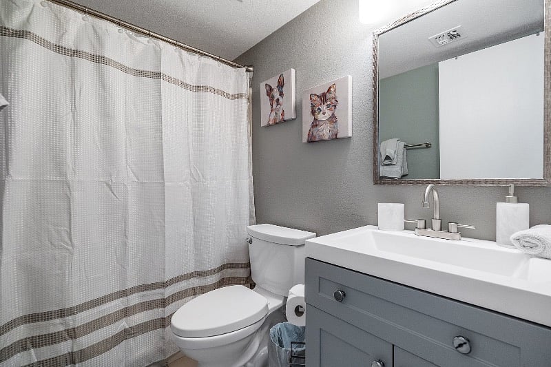 Furnished Finder property 478691_2 photo 22