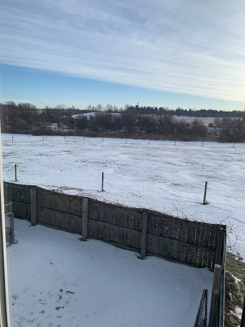 Veiw from apt of back yard.