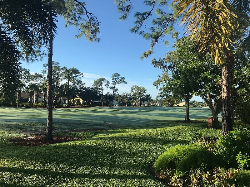 Golf course view