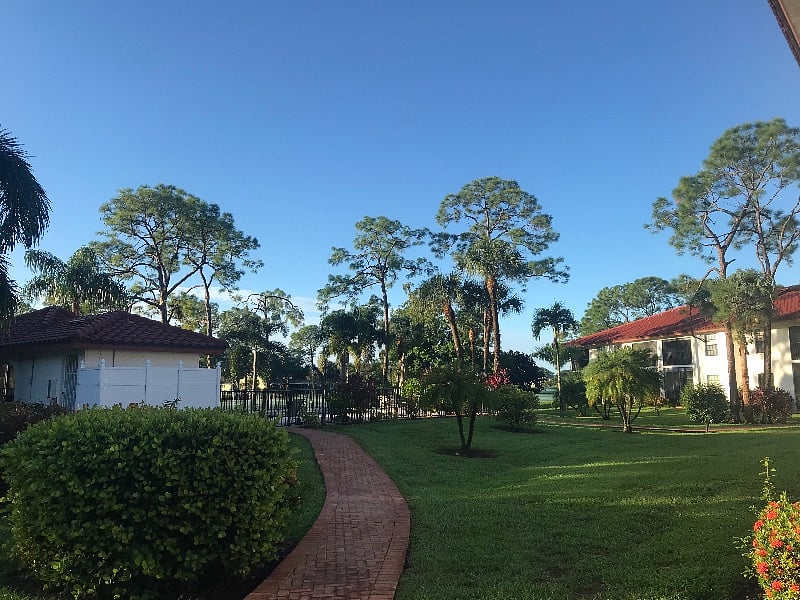 Backyard
