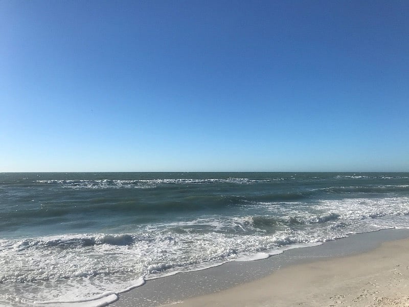 The Gulf of Mexico