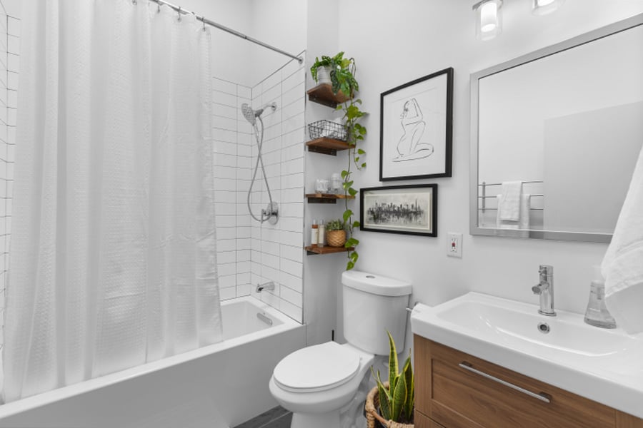 Furnished Finder property 479083_1 photo 17