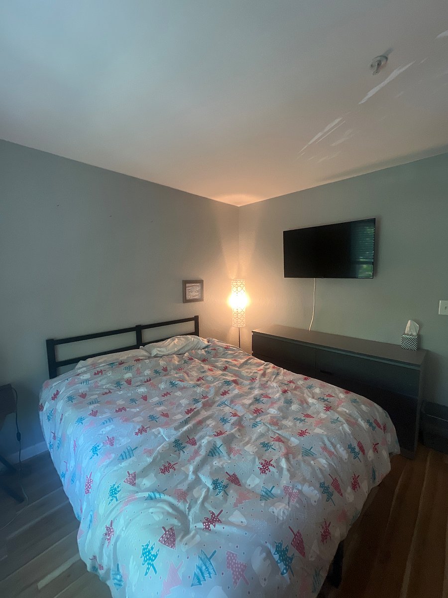 Furnished Finder property 479247_1 photo 6