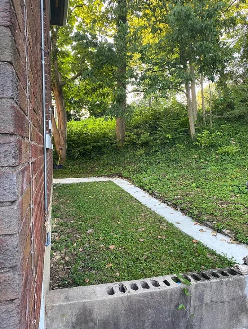 Back yard