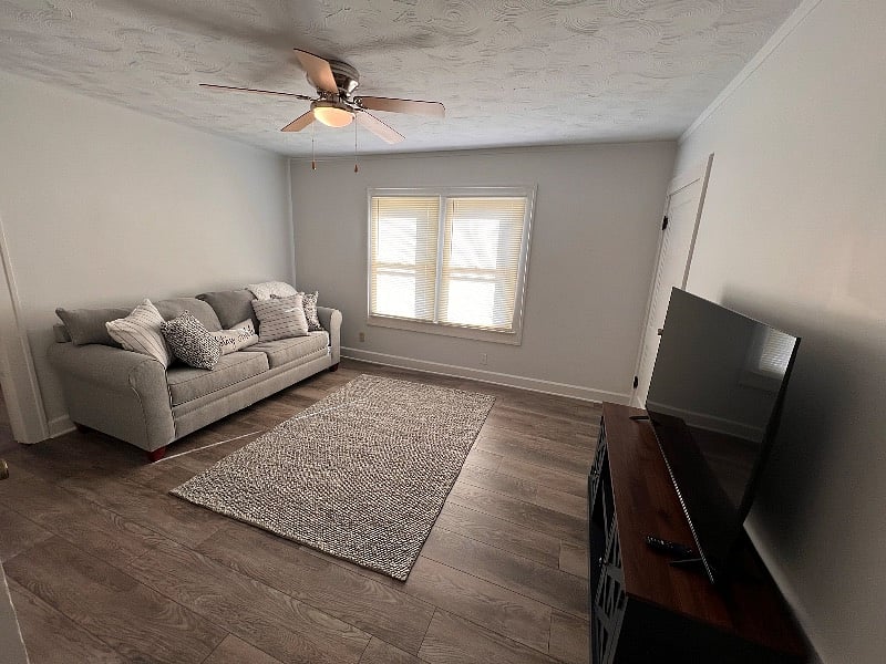 Furnished Finder property 479342_1 photo 5