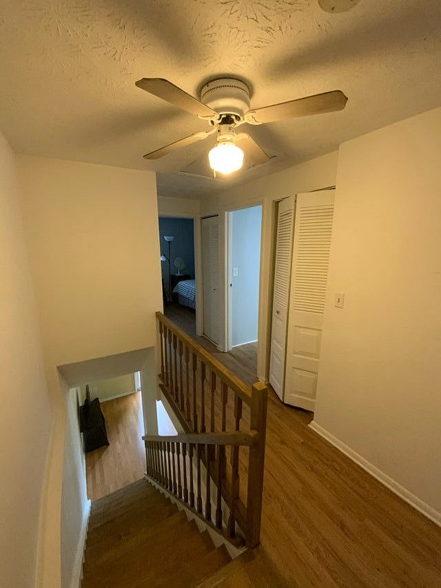 Furnished Finder property 479350_1 photo 14