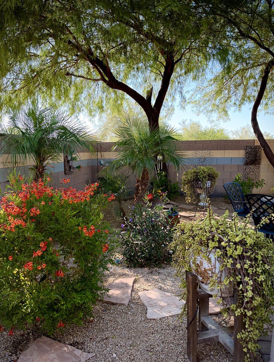 Furnished Finder property 479365_1 photo 21
