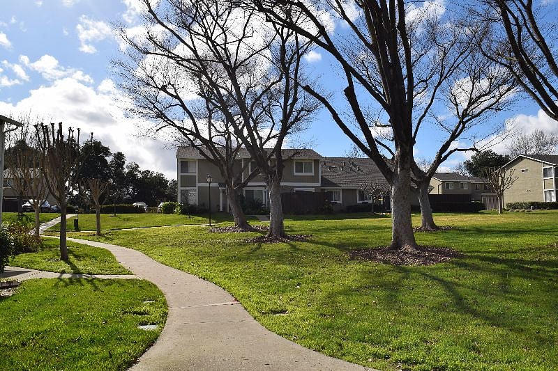 Furnished Finder property 479501_1 photo 17