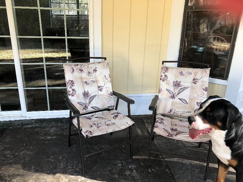 dog not included. 