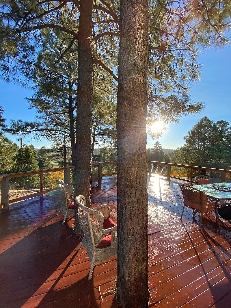 Furnished Finder property 479565_1 photo 26