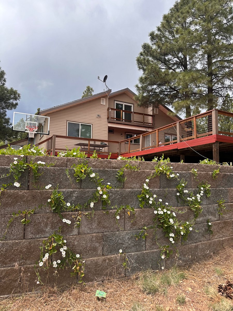 Furnished Finder property 479565_1 photo 32