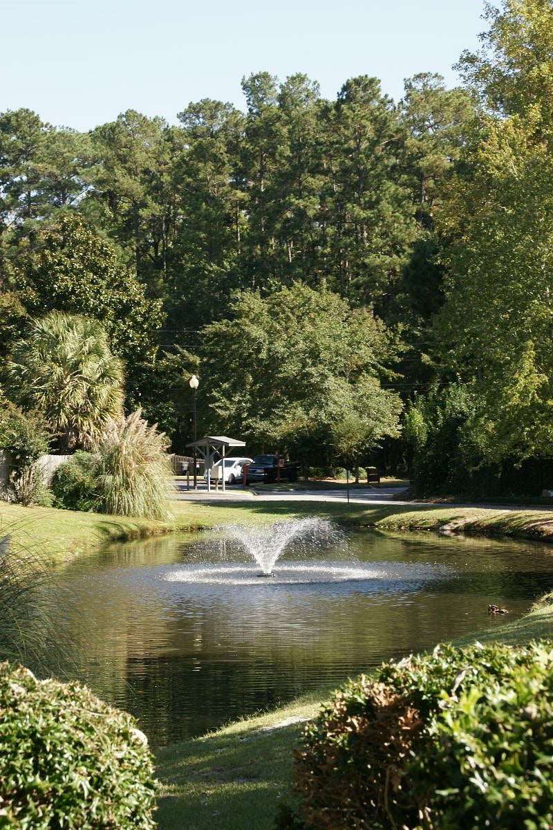 Neighborhood Pond Fountain