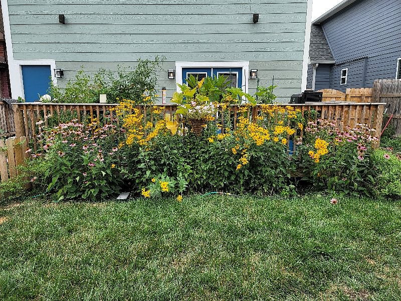 View of our house from standing in front of stairs up to carriage house. Our garden hosts mostly native plants and there is something always in bloom between April and November. We like to grow vegetables in our deck containers - you may be offered our extra bounty!