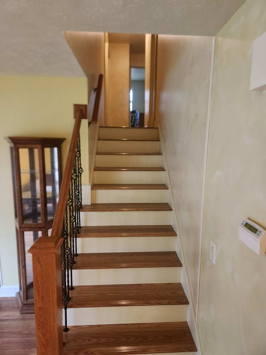 Furnished Finder property 479950_1 photo 18