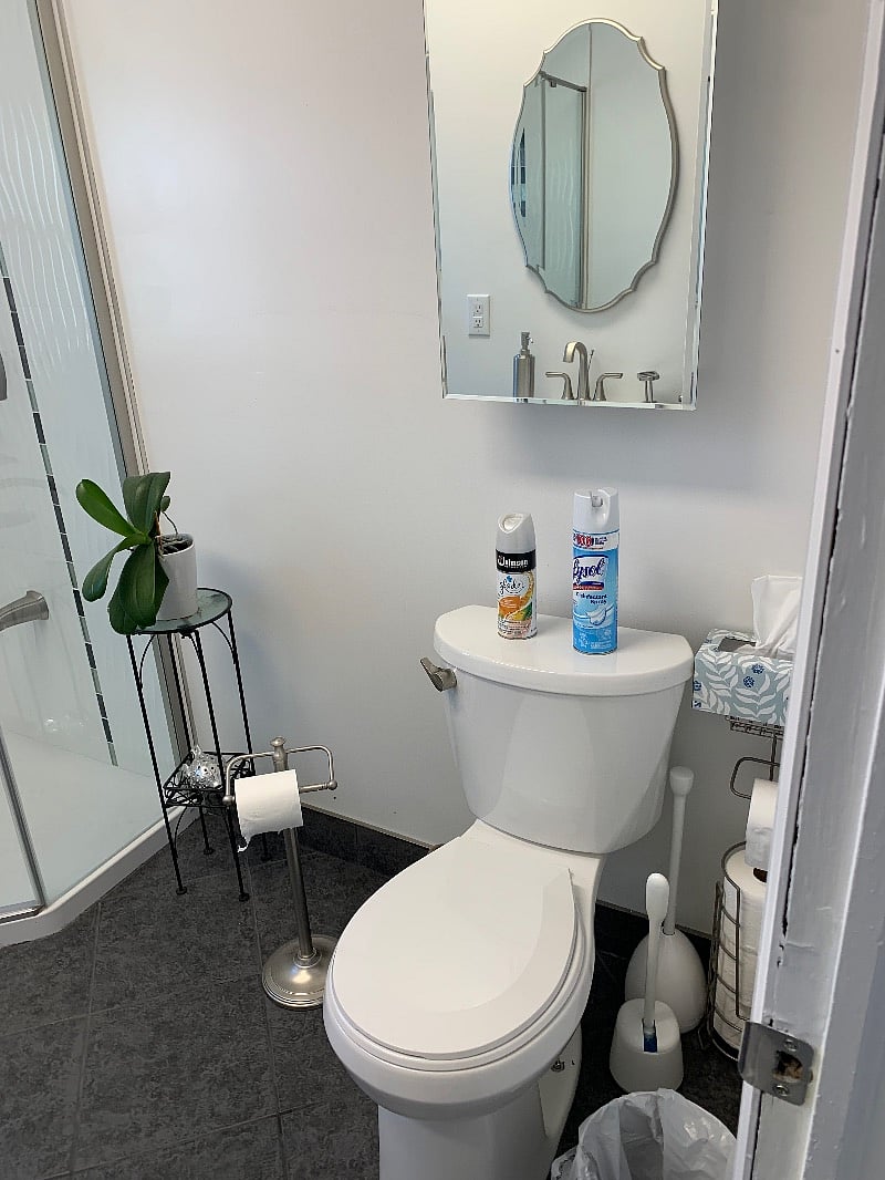 Bathroom, mirrored medicine cabinet, toiletries, and shower.