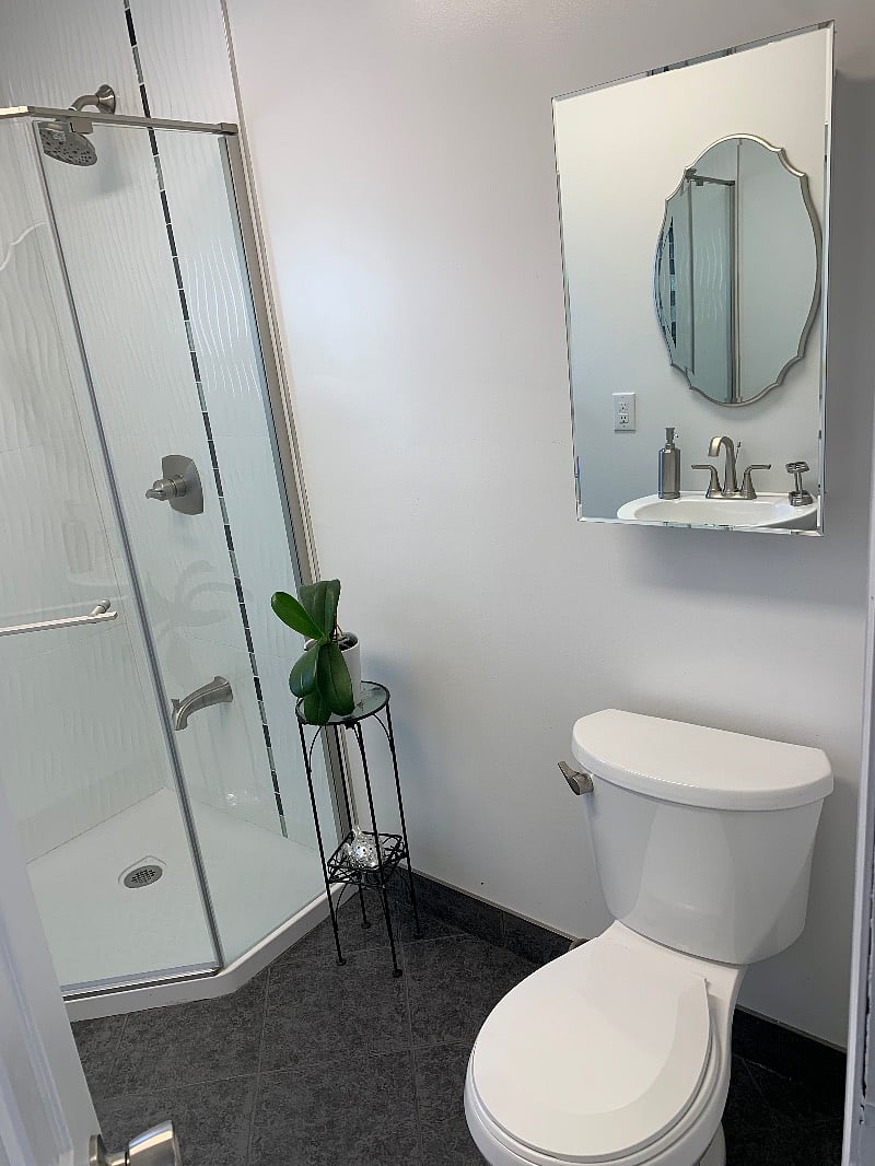 Bathroom, mirrored medicine cabinet, and shower