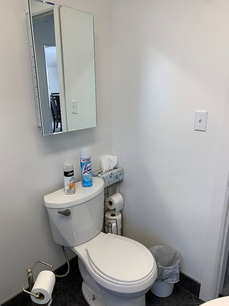 Bathroom, mirrored medicine cabinet, toiletries.