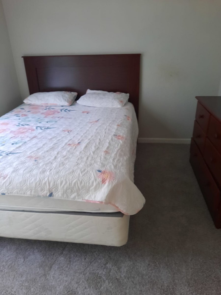 Furnished Finder property 480095_1 photo 14