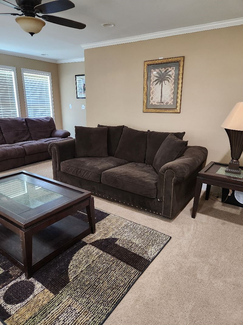 Furnished Finder property 480119_1 photo 17