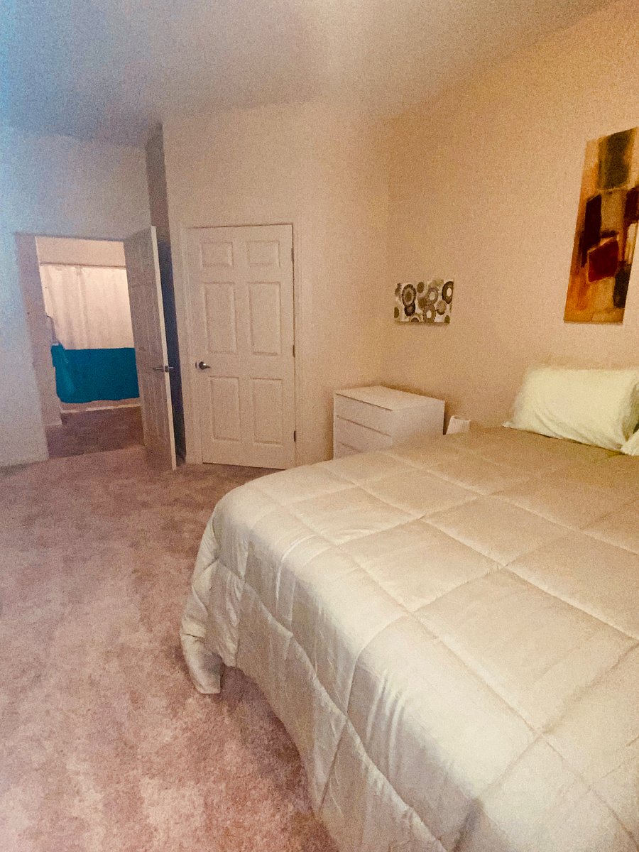 Furnished Finder property 480208_2 photo 12