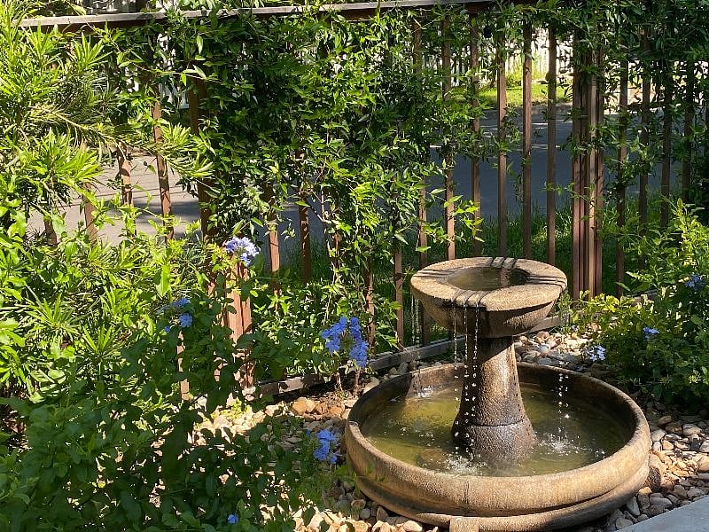 Fountain and landscaping