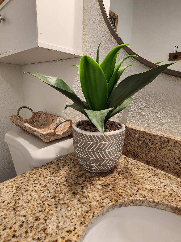 Furnished Finder property 480257_1 photo 10