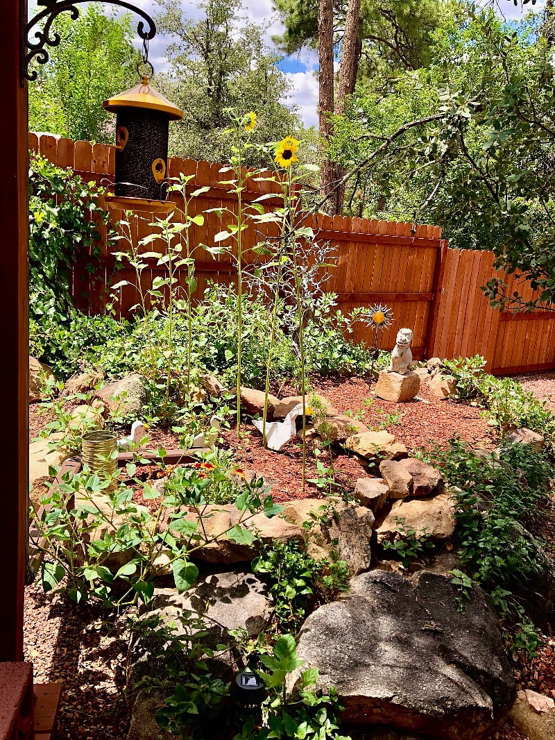 Furnished Finder property 480294_1 photo 12