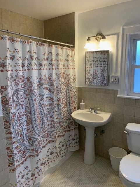 Furnished Finder property 480366_1 photo 16