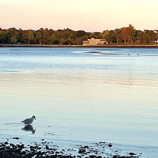 Beverly's waterfront features many public parks and beaches.