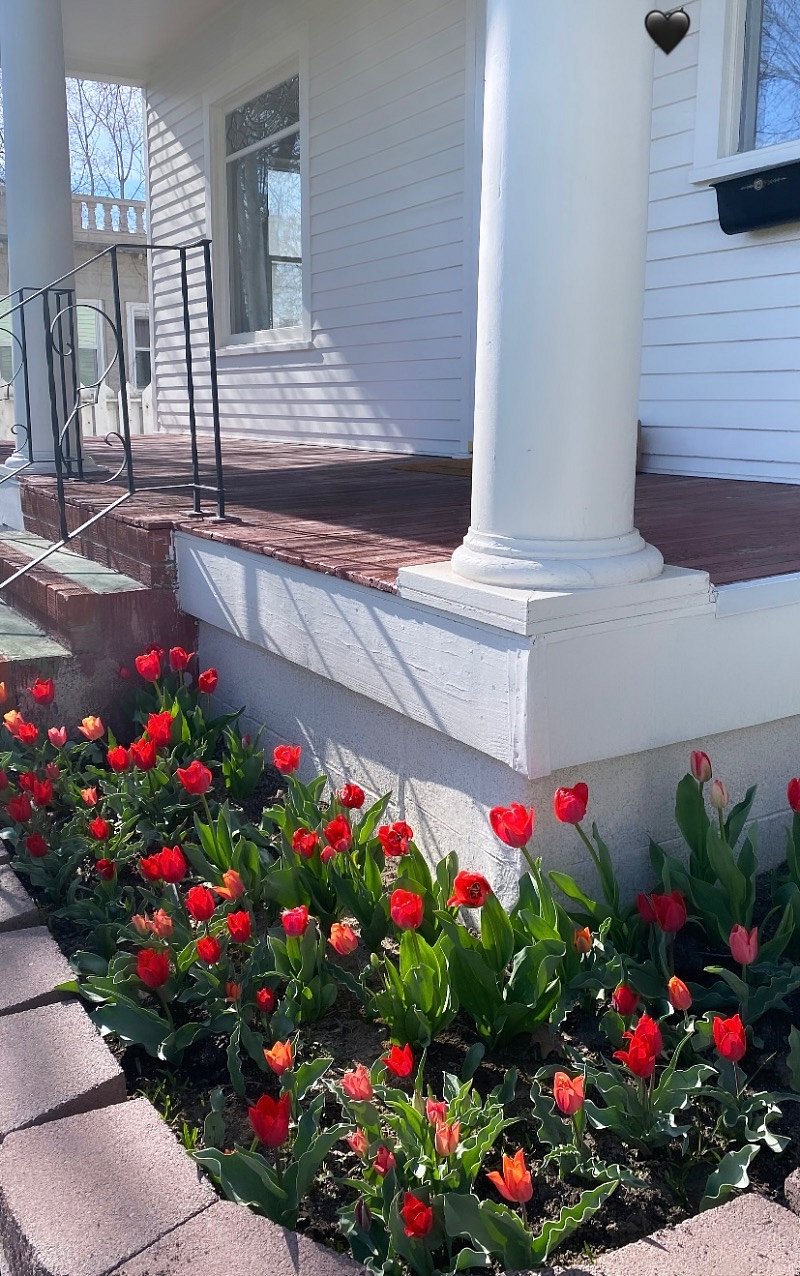 Front garden bed in the spring