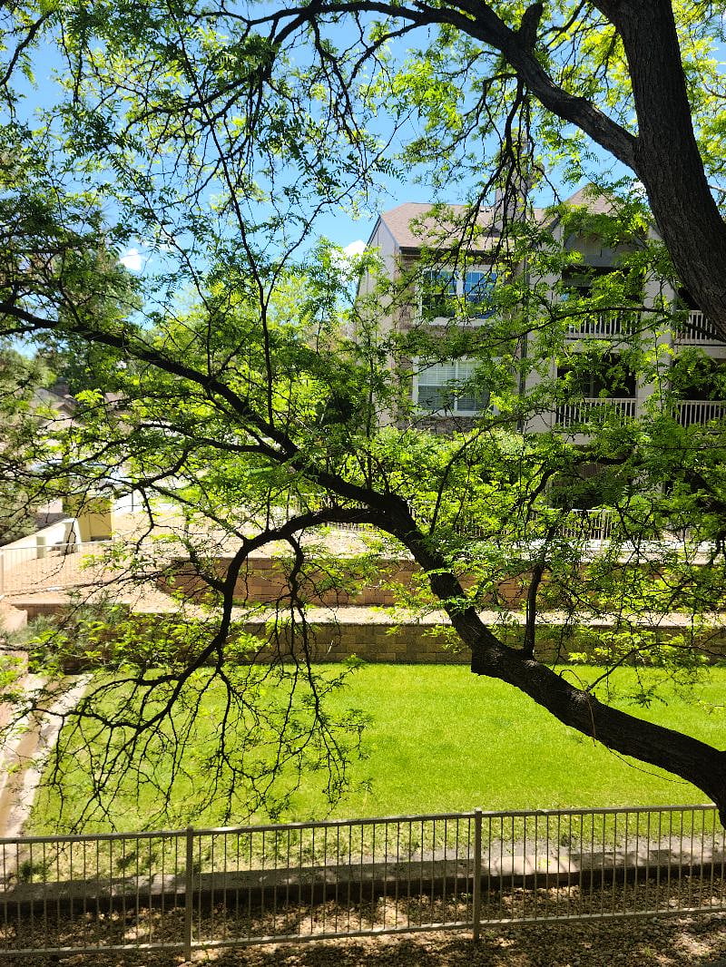 Furnished Finder property 480499_1 photo 11
