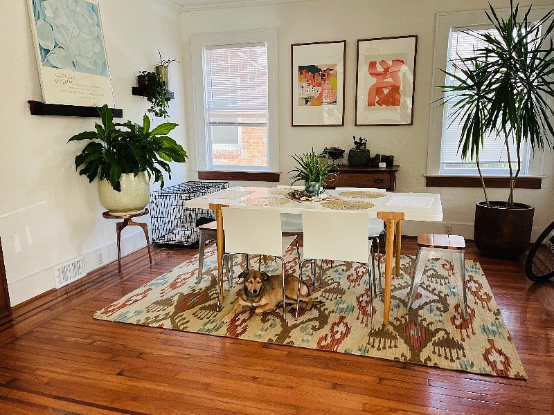 Furnished Finder property 480512_1 photo 6