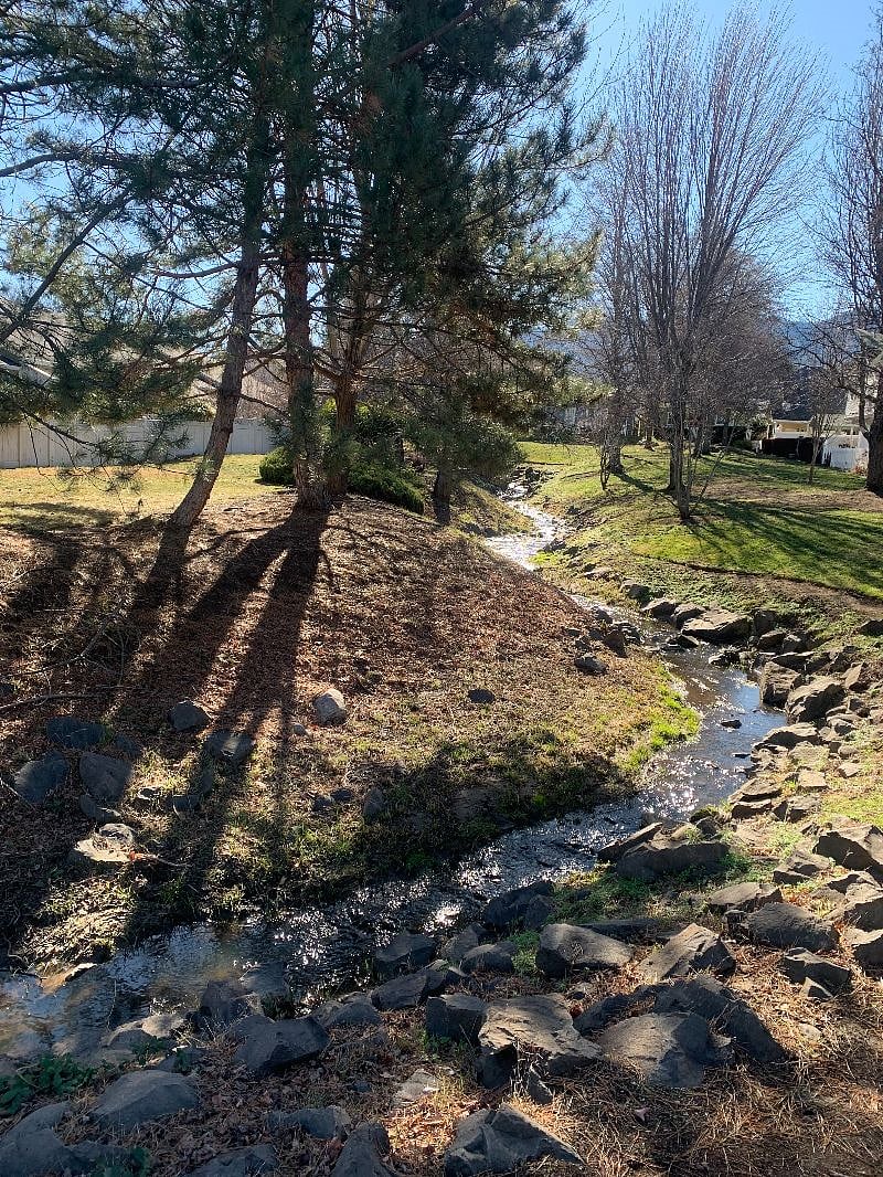 Neighborhood creek in winter