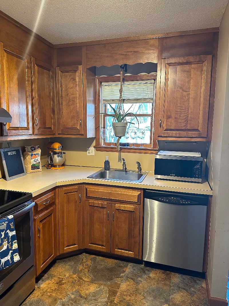 Kitchen area, dishwasher, and microwave