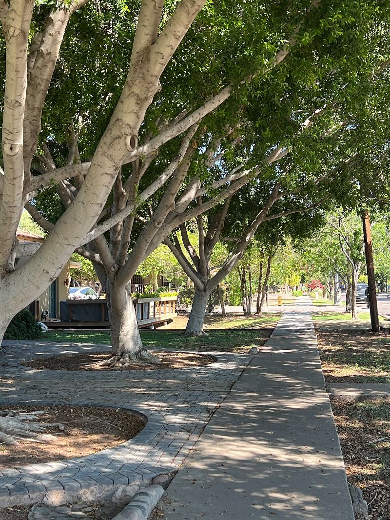 Walk this beautiful street to get your morning coffee Cartels (which is my favorite) or to get your groceries from Whole Foods.