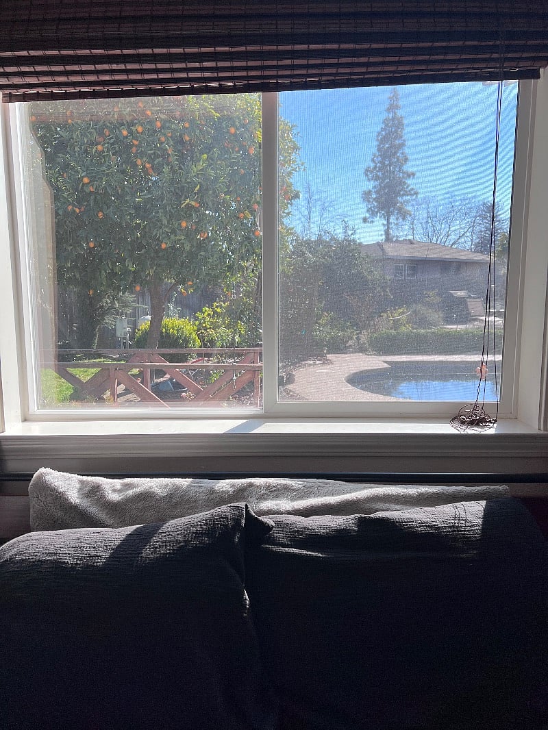 Furnished Finder property 480651_1 photo 17