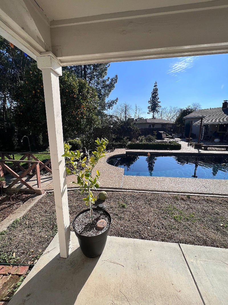 Furnished Finder property 480651_1 photo 22
